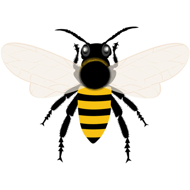 蜜蜂插图图片下载
