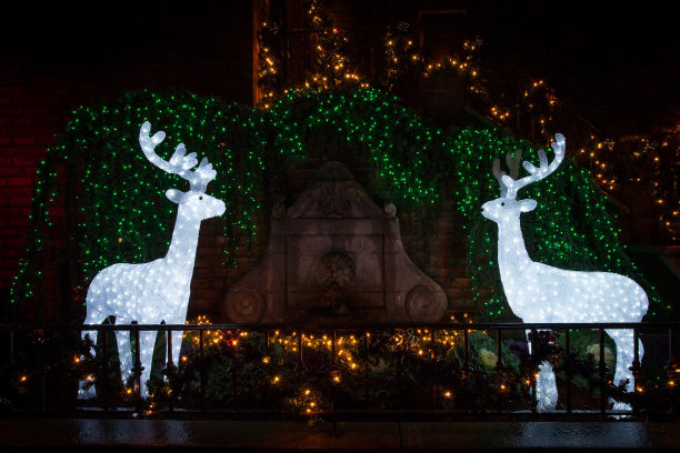 圣诞节的主题图片下载