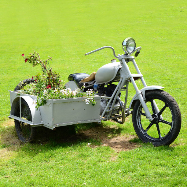 草地上开满鲜花的旧汽车图片下载