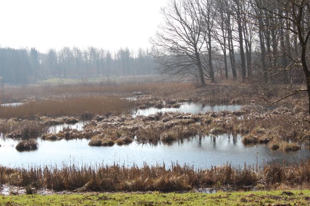 美丽的丹麦风景图片下载