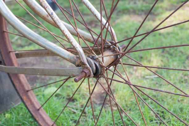 自行车车轮辐条图片下载