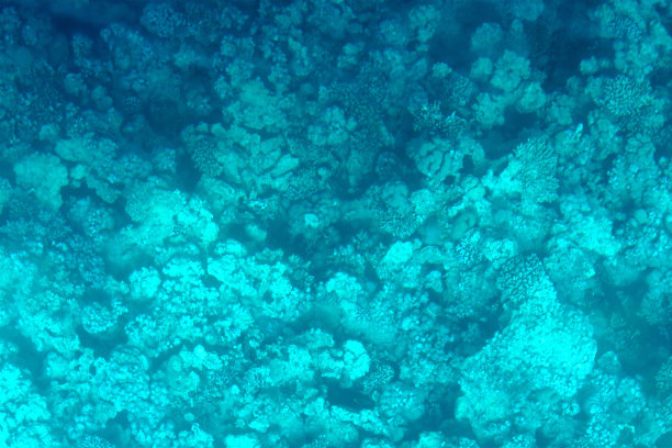 蓝色模糊抽象混沌水下纹理。水平。图片下载