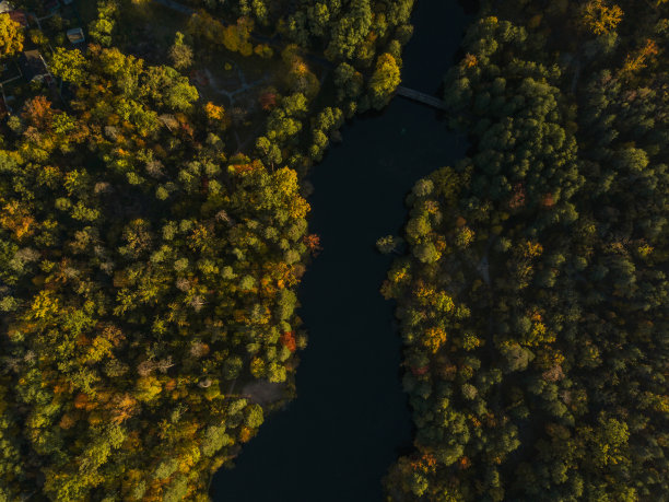 美丽的橙色和红色的秋天森林。俯瞰秋天的森林和河流。鸟瞰图和俯视图。秋天的空中景观。一张照片是从上面拍的。图片下载