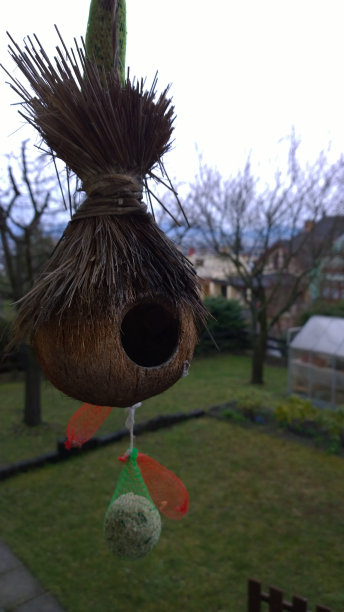 喂鸟器图片下载