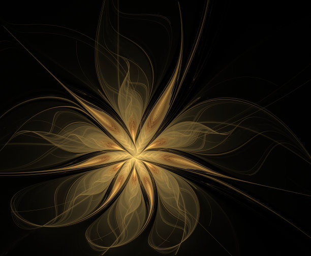 抽象分形金花图片下载