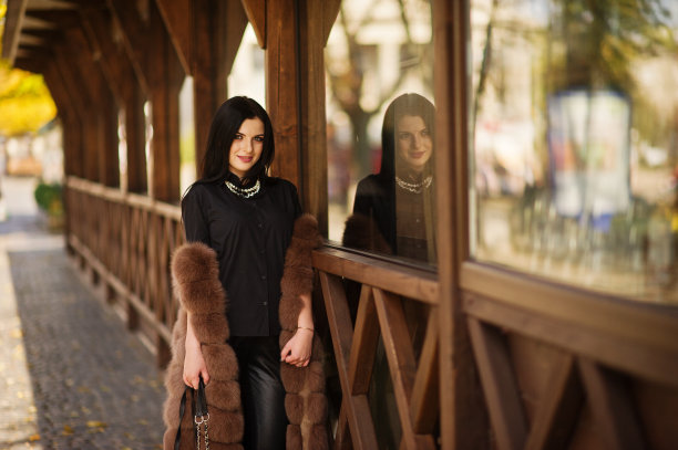 时尚户外照片华丽性感的女人在优雅的衣服和豪华的皮草大衣深色头发。图片下载