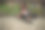 时尚户外照片华丽性感的女人在优雅的衣服和豪华的皮草大衣深色头发。图片下载