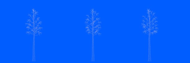 三棵树的3d渲染作为线在蓝色的背景图片下载