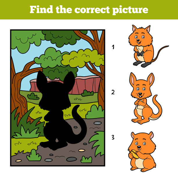 找到正确的图片。袋鼠和背景图片下载