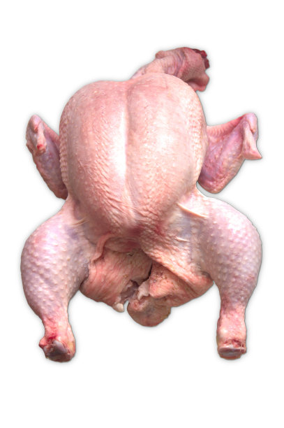 生鸡肉图片下载