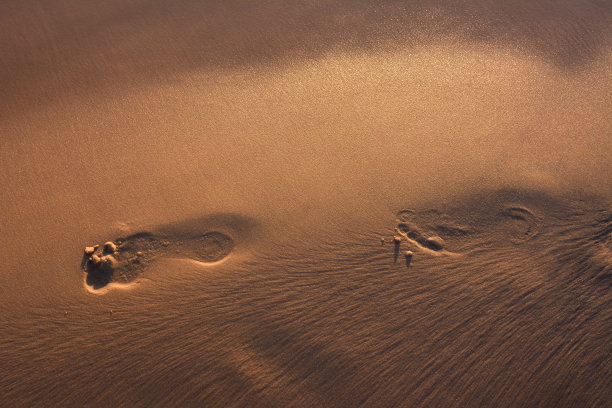 嗡嗡声的碳足迹图片下载