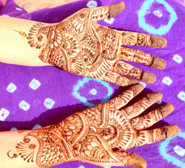 用指甲花图案装饰双手图片下载