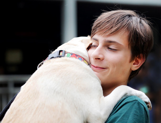 男孩和他的狗图片下载