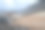 宝莱特岛企鹅高速公路图片下载