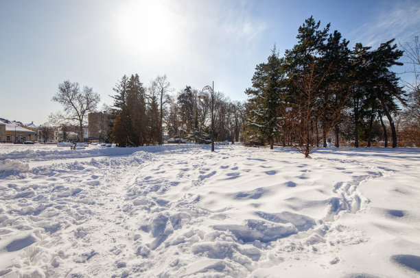 雪下的城市公园图片下载