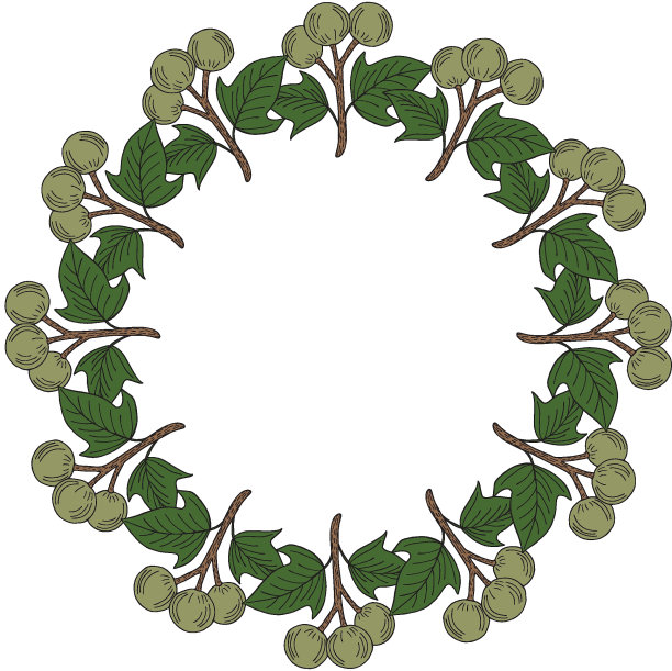 Kukui，彩色线条圆形画框1图片下载