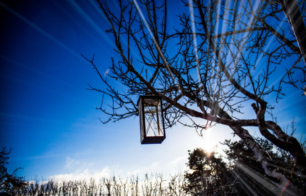 灯笼挂图片下载