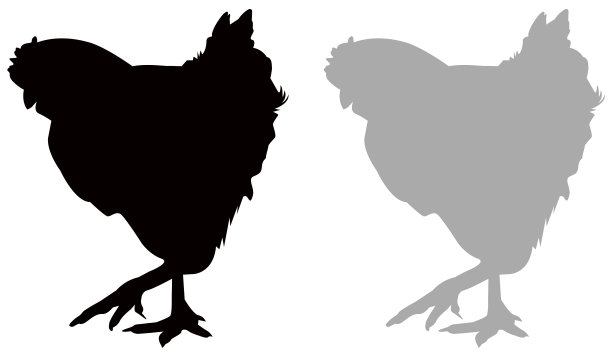 母鸡剪影图片下载