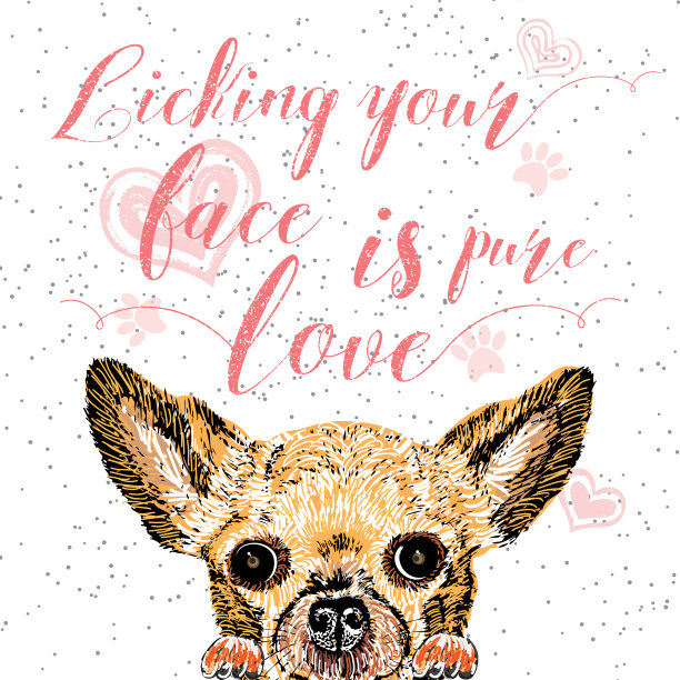 舔你的脸是纯粹的爱，手写的卡片，字母书法动机的引用狗爱好者和排版设计。可爱，友好，微笑，鼓舞人心的小狗与心和闪耀。图片下载