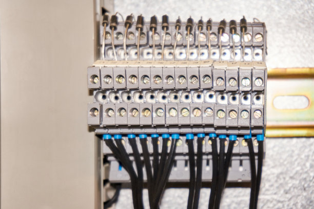 电气连接的接线端子和控制箱内接地的接地端子。图片下载