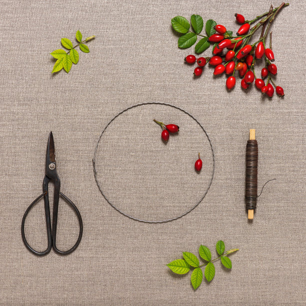 手工制作的传统圣诞门花环与野玫瑰果实。步骤1。图片下载