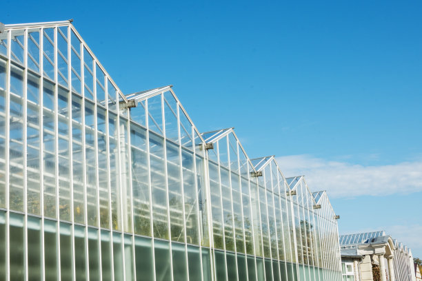 花园中温室的玻璃立面，映衬着蔚蓝多云的天空图片下载