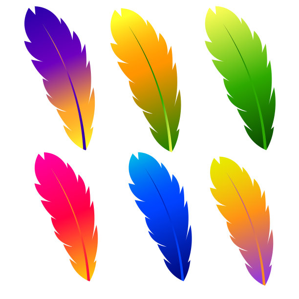 不同颜色的羽毛。矢量插图。图片下载