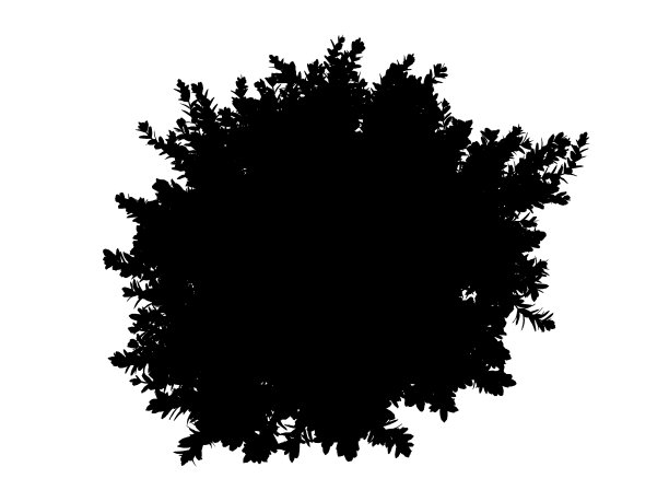 一个孤立在白色背景上的剪影树的3d渲染图片下载
