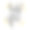野性和自由的毛笔字母，关于自由的灵感引用手绘创造性的书法矢量排印卡与短语和箭头波西米亚设计元素的印刷和海报，t恤图片下载
