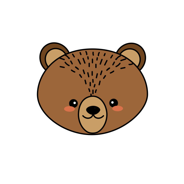可爱的熊头野生动物图片下载