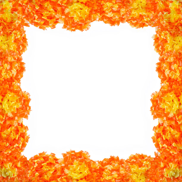 Cempasuchil花框架图片下载