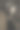 年轻女孩的黑白肖像图片下载