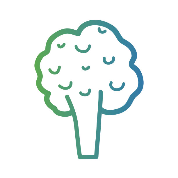 行健康花椰菜蔬菜食品图片下载