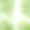 美丽的热带夏季无缝图案素材图片