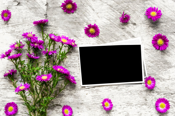 空白相框用粉红色的鲜花花束来放你的照片图片下载