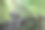 智利巴塔哥尼亚的普马林公园，Tronador湖附近的人行道上的木楼梯图片下载