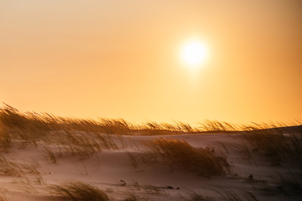 美丽的海滩日落图片下载