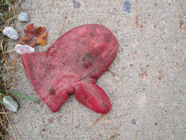 Mitten在地上图片下载