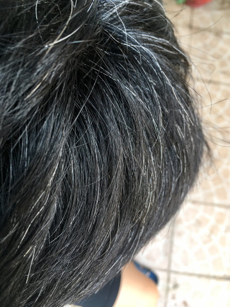 近距离看一个灰白头发的男人图片下载