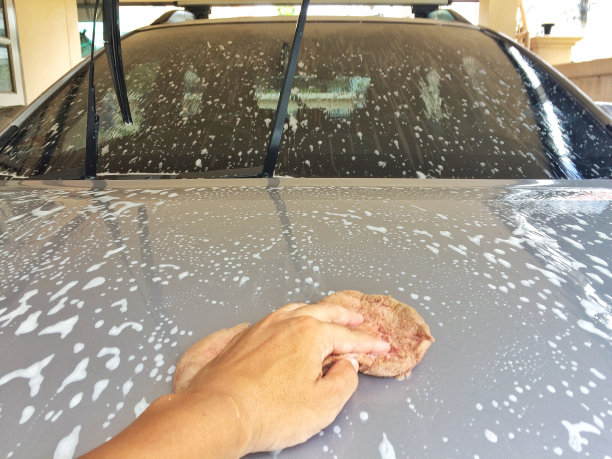 海绵洗汽车图片下载