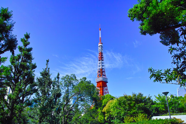 柴坝公园的风景图片下载