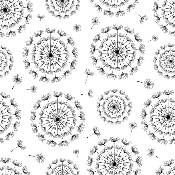 无缝背景蒲公英绒毛图片下载