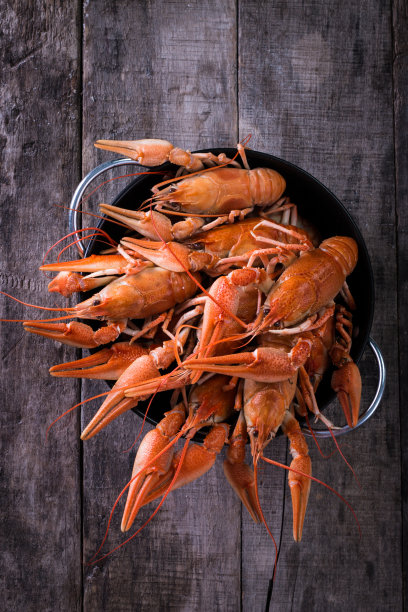 煮小龙虾与莳萝在黑暗的背景图片下载