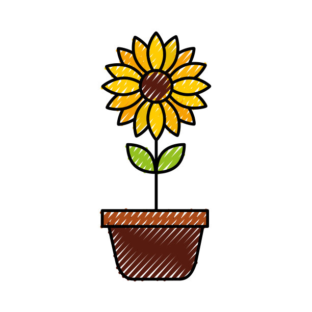 盆花自然装饰室内植物图片下载