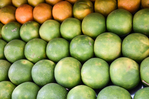 鲜橙、柑橘和绿色柑橘类水果图片下载