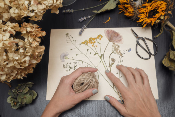 女孩做标本。制作植物标本室用的干药草和干花图片下载