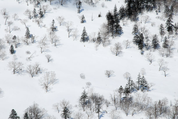 雪地图片素材ID：300435690