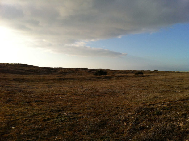 海滩沙丘图片下载