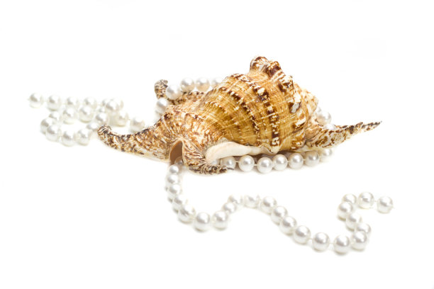 女性的婚礼珠宝。一长串粉红色的河珠。收集天然婚礼珍珠珠。微距照片孤立的白色背景。美丽的装饰异国海贝。图片下载