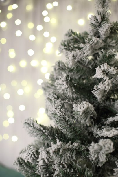 新年装饰品，圣诞树，花环和球家舒适图片下载